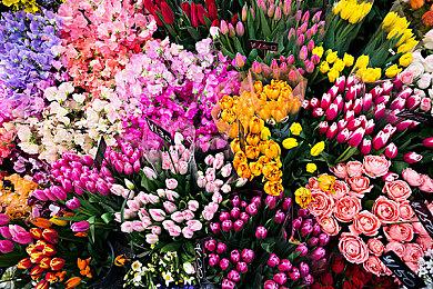 NVIDIA修复Win11 22H2升级导致显卡性能低下Bug